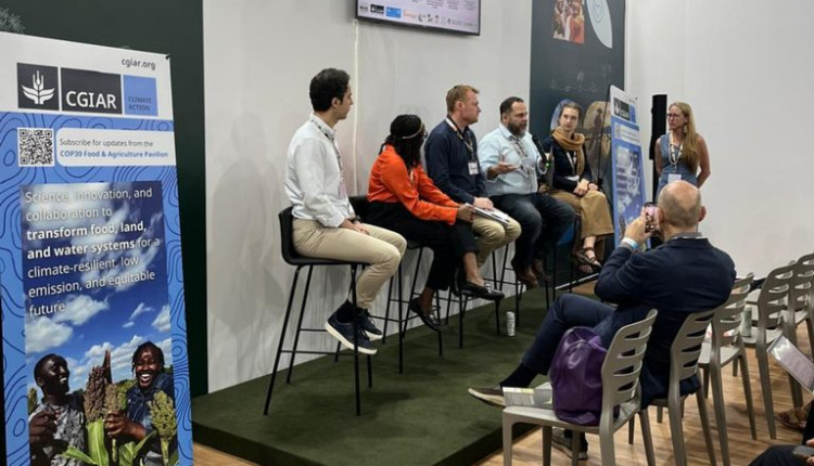 Painel na COP30 reforça papel da ciência do solo no financiamento sustentável