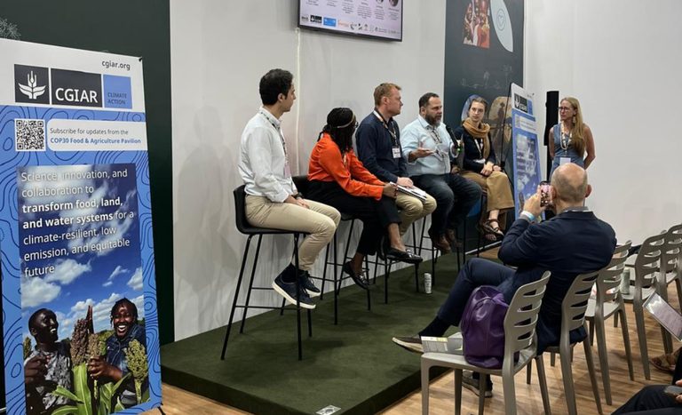 Painel na COP30 reforça papel da ciência do solo no financiamento sustentável