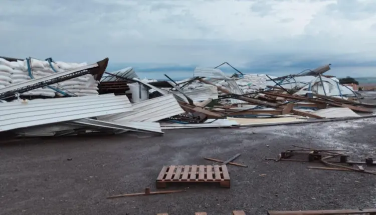 Estratégias para o produtor enfrentar os estragos das chuvas no Paraná