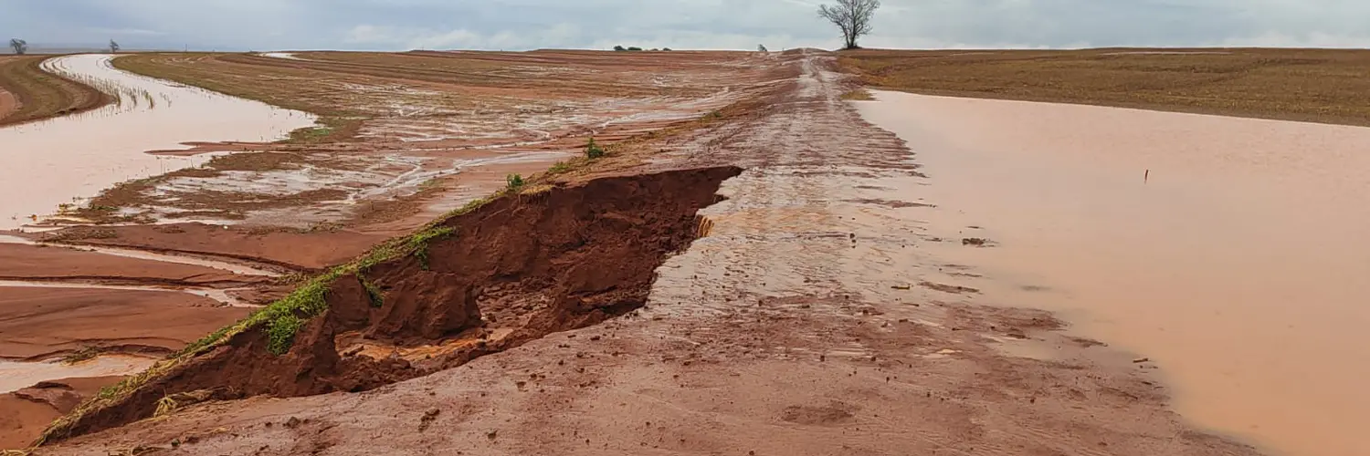 Após temporais no Paraná, Sistema FAEP orienta procedimentos para minimizar estragos no campo