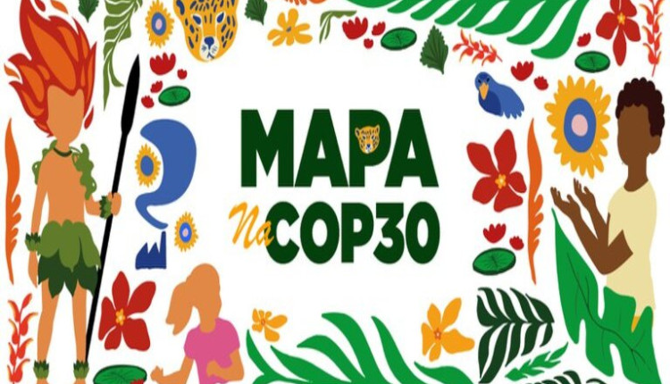 Confira a agenda do Mapa durante a COP30