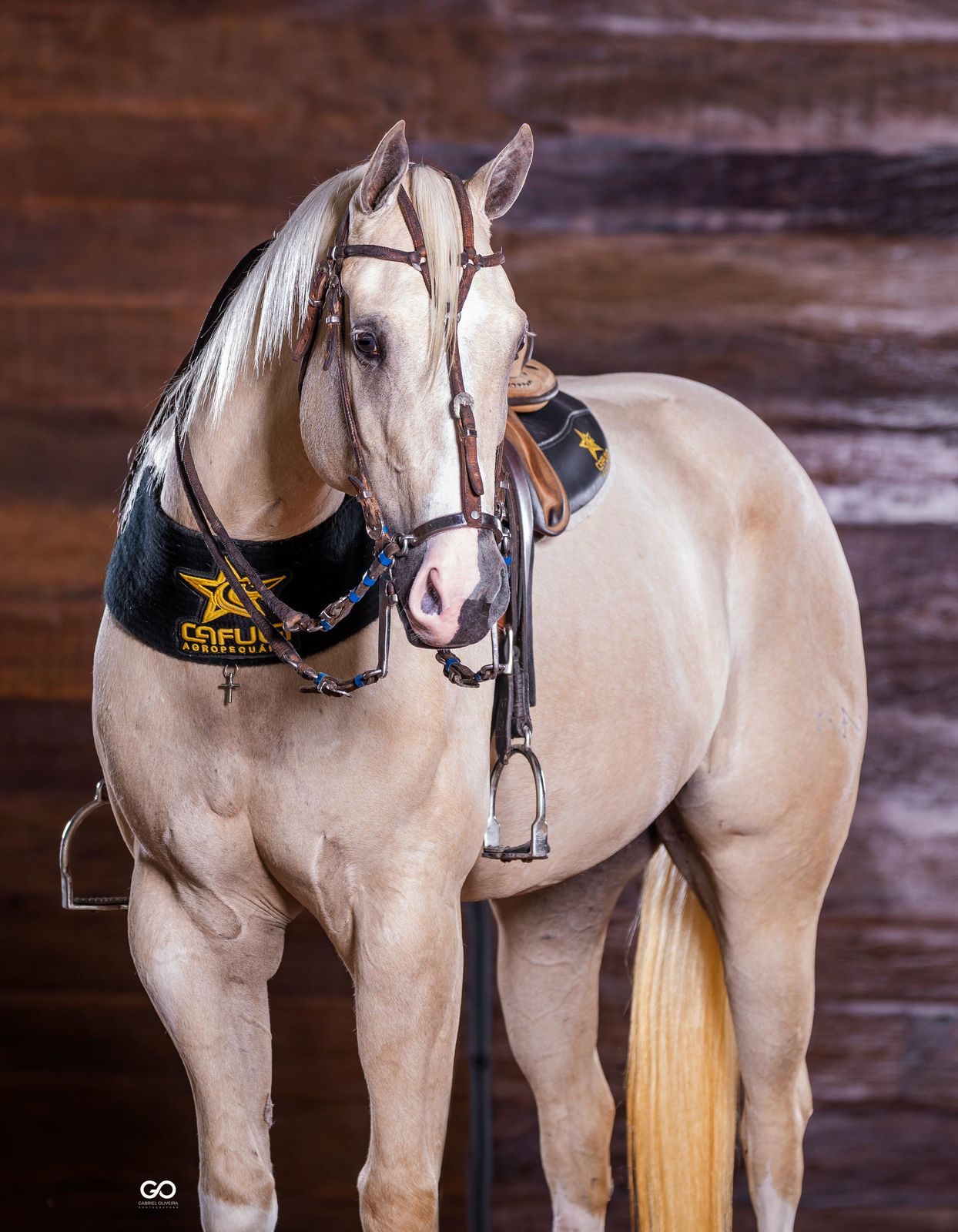 Leilão Cafula Experience 10 Anos