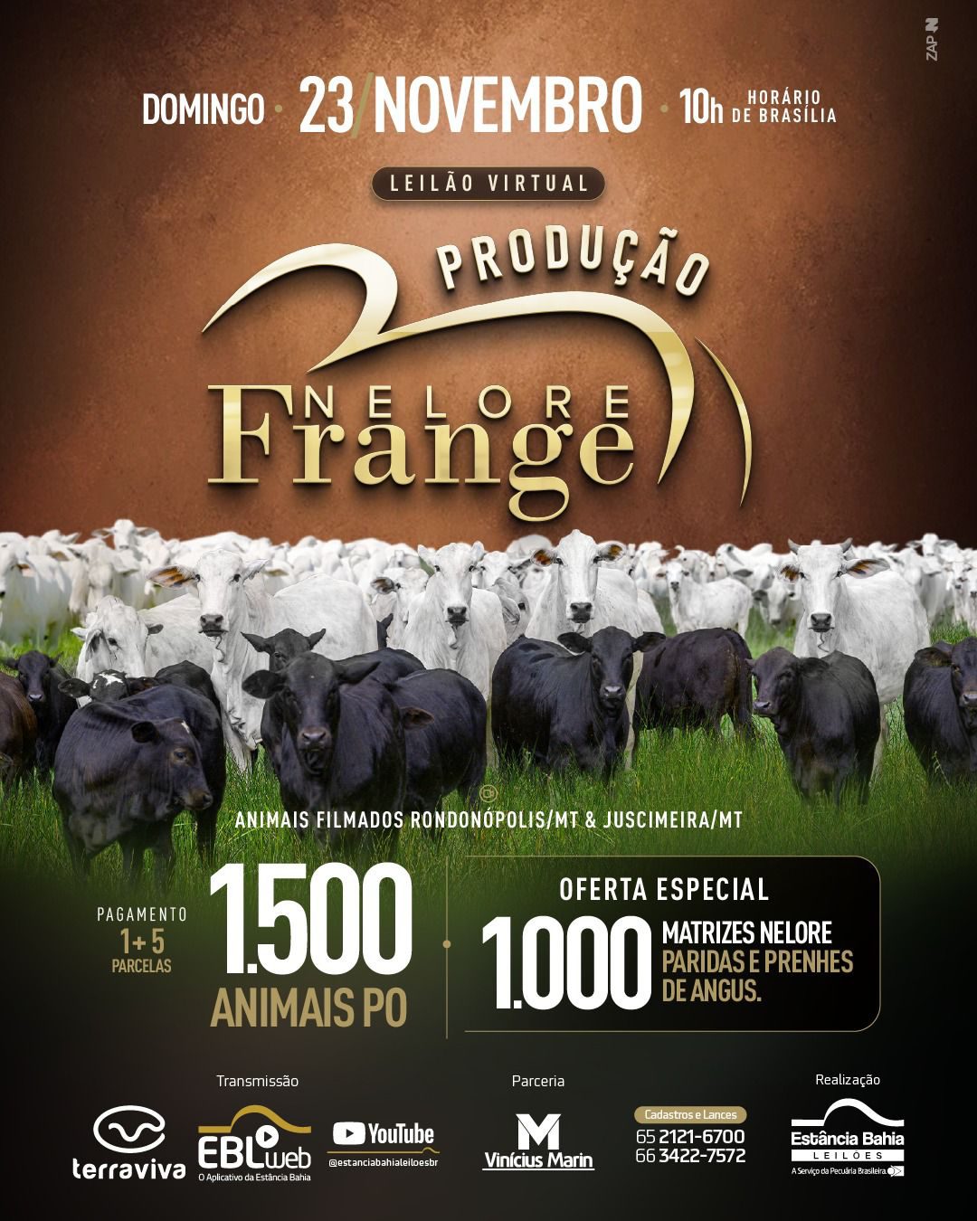 Leilão Nelore Frange