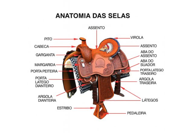Conheça o “Mapa da Sela” e entenda quais são suas partes e para que servem cada uma