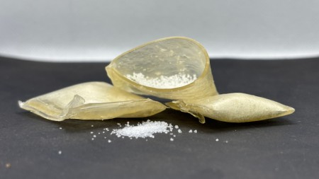 Sachês de amido liberam fertilizante de forma controlada e podem substituir polímeros derivados de petróleo