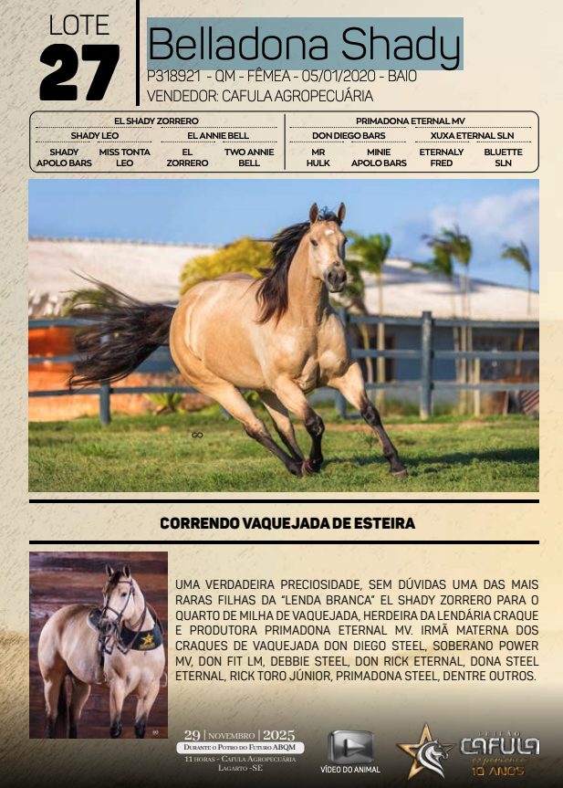 Leilão Cafula Experience