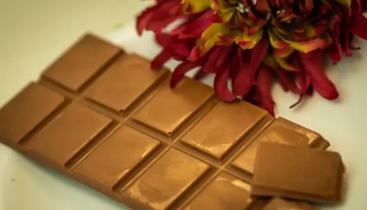 Marcas brasileiras de chocolate se destacam entre as melhores do mundo; confira as premiadas