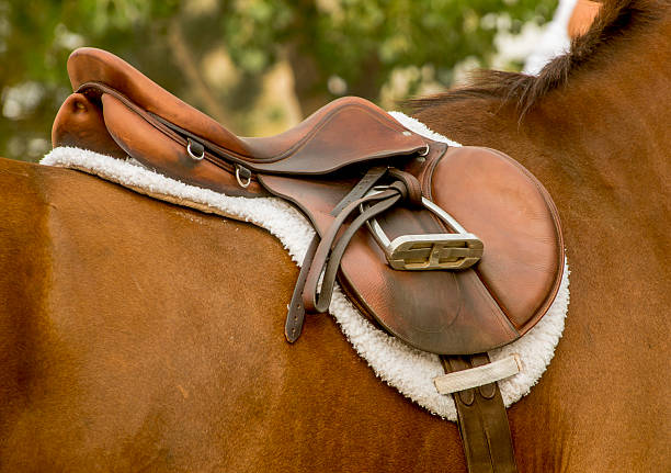 Conheça o “Mapa da Sela” e entenda quais são suas partes e para que servem cada uma