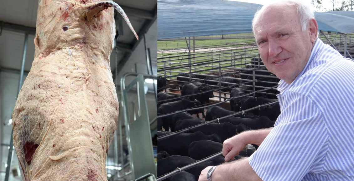 Agropecuária Maragogipe