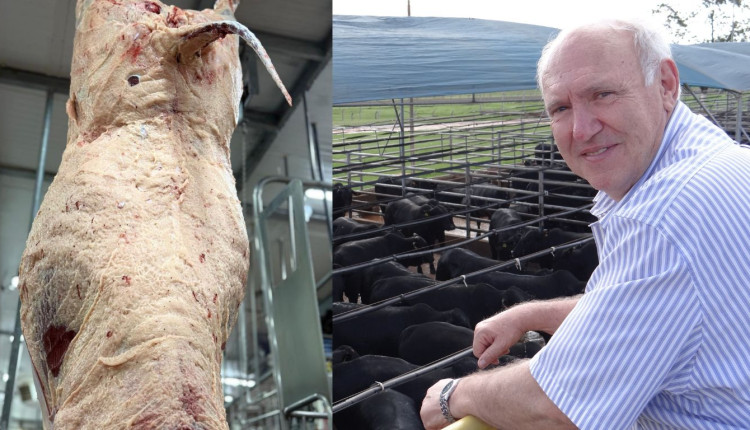 Agropecuária Maragogipe