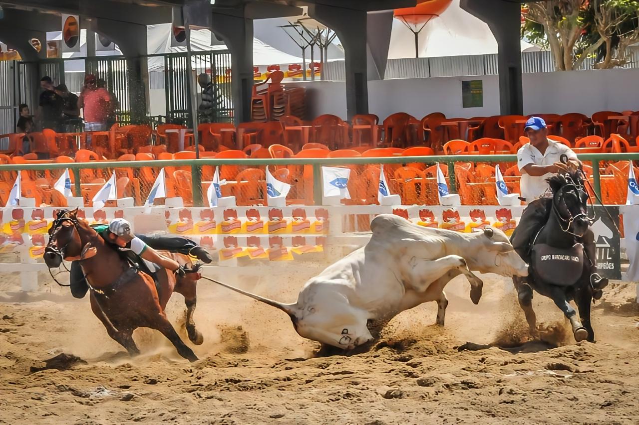 rancho das estrelas vaquejada