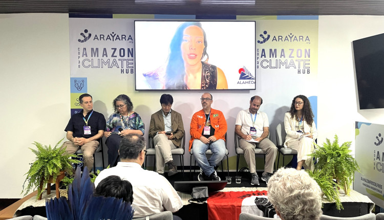 COP30: Especialistas alertam para desperdício de energia, uso insustentável da terra e ameaça à soberania