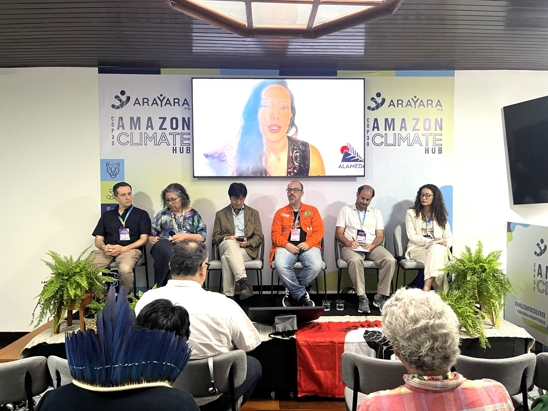 COP30: Especialistas alertam para desperdício de energia, uso insustentável da terra e ameaça à soberania