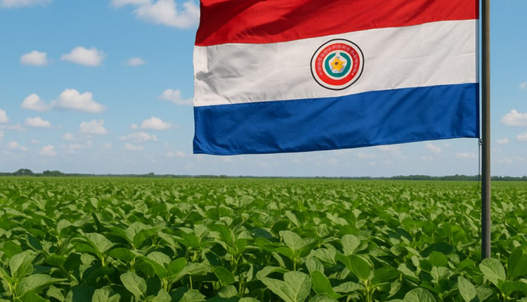 Safra de soja do Paraguai deve alcançar 10,5 milhões de toneladas após desafios climáticos