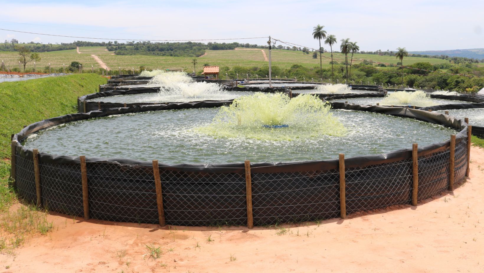 Big Fish Piscicultura - tanques suspensos