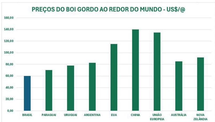 Posição de rebanho bovino nos EUA, na Austrália, Argentinae UE coloca Brasil em destaque