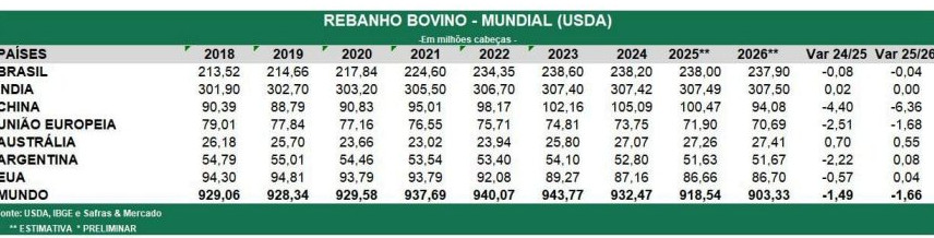Posição de rebanho bovino nos EUA, na Austrália, Argentinae UE coloca Brasil em destaque