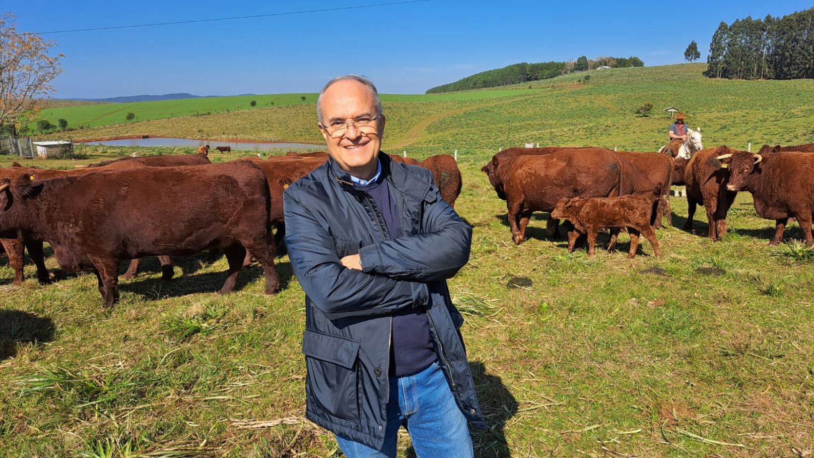 Gilson Hoffmann com o gado Devon na Cabanha Santa Lucia