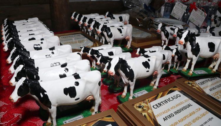 Destaque Holandês celebra dedicação e excelência da pecuária leiteira gaúcha em 2025