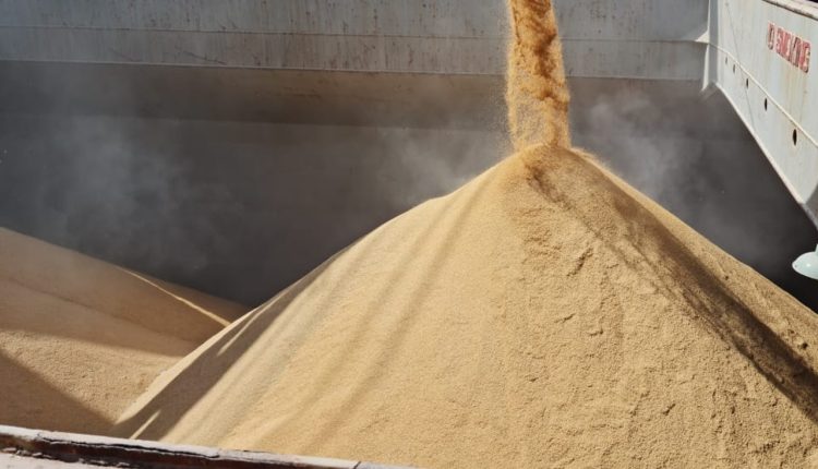 Federarroz alerta que novas regras do piso mínimo de frete agravam crise na orizicultura gaúcha