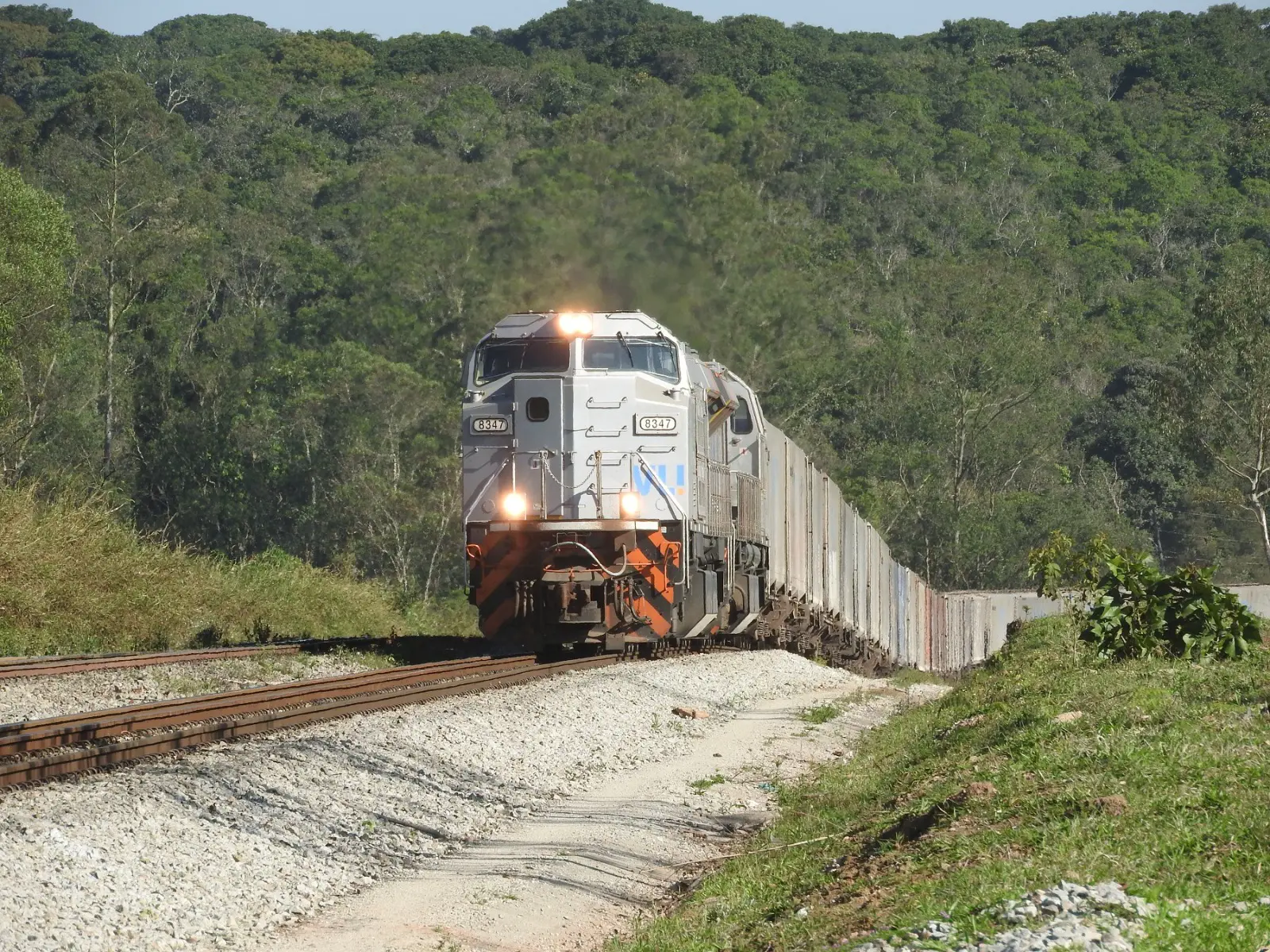 VLI registra recordes históricos para o mês de outubro nas ferrovias e portos