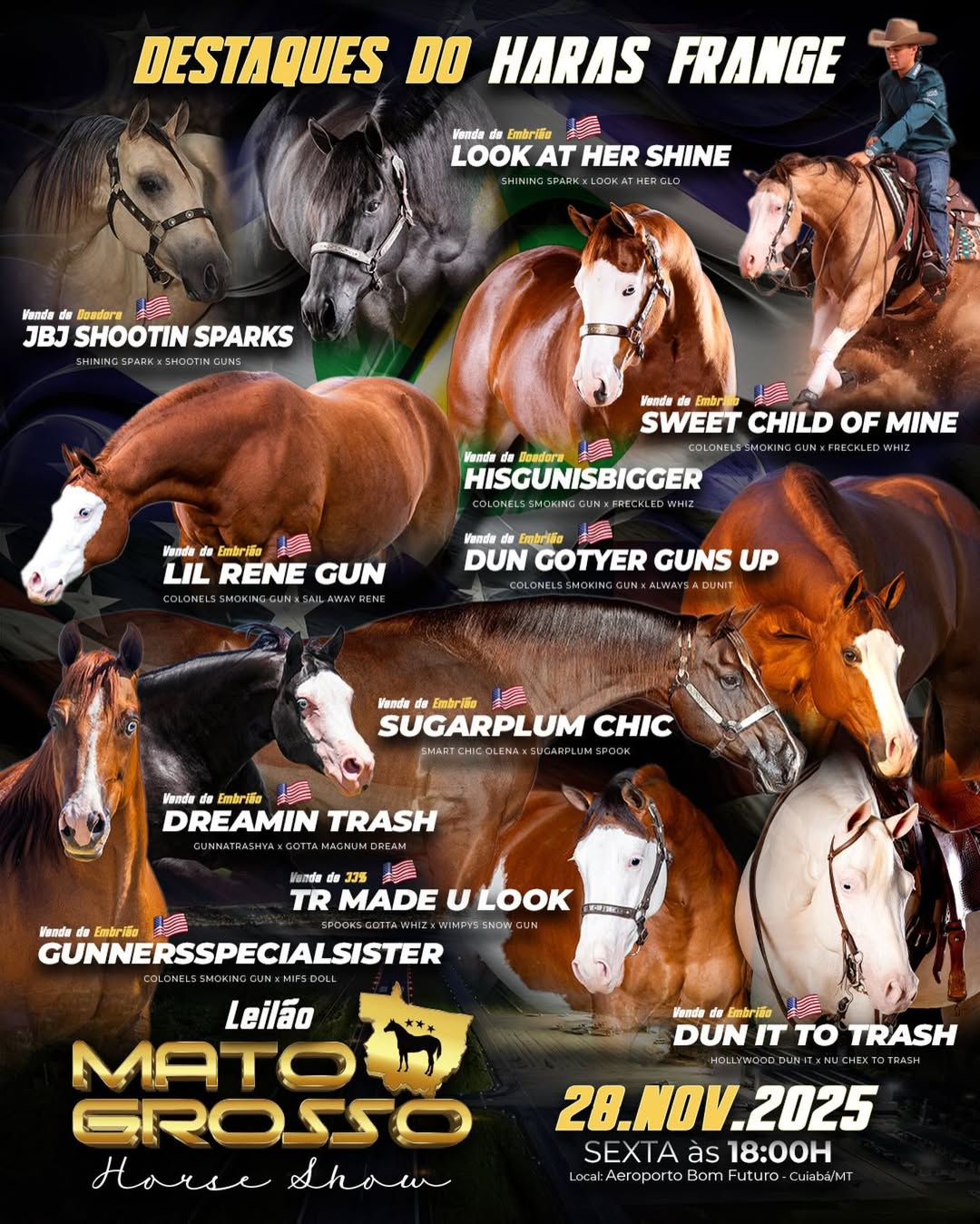 Haras Frange marca seu nome no Quarto de Milha durante a 1ª edição do Mato Grosso Horse Show