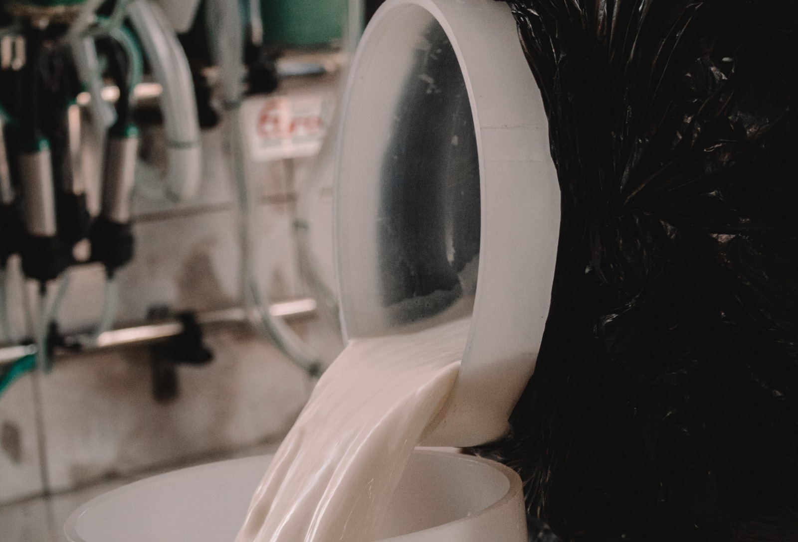 Gadolando cobra medidas mais amplas para garantir sobrevivência dos produtores de leite