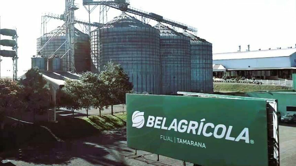 belagricola