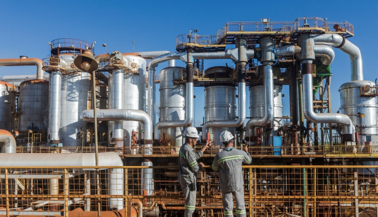 BP Bioenergy amplia eficiência industrial na produção de etanol com uso de biotecnologia