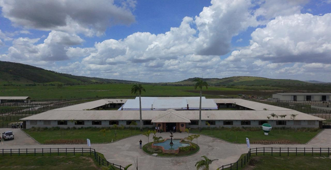 cafula agropecuaria-capa