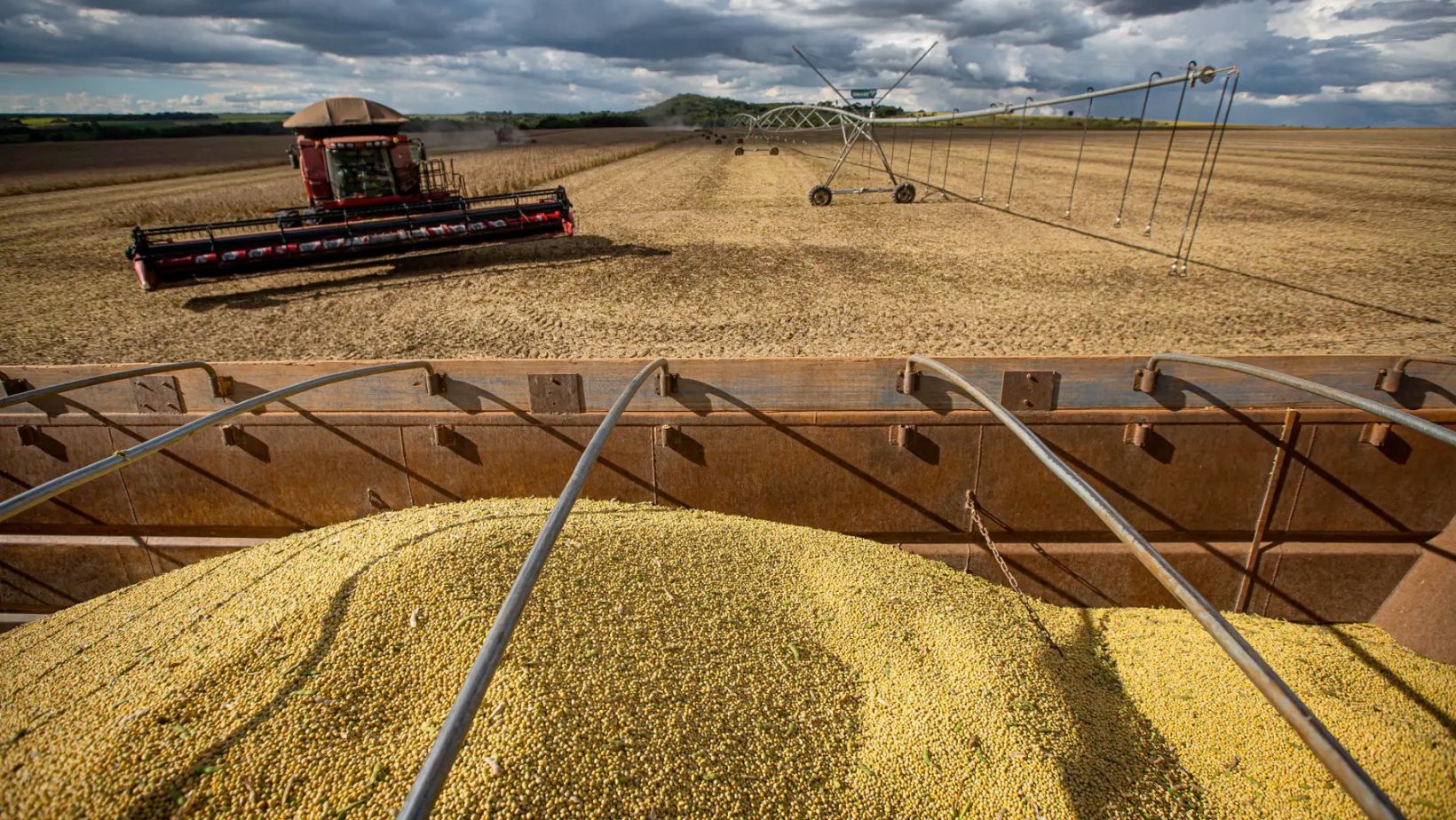 colheita da soja no mato grosso