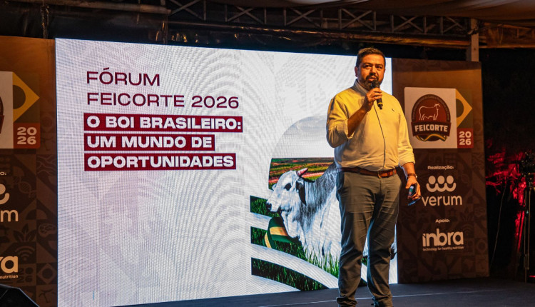 feicorte 2026 apresentacao