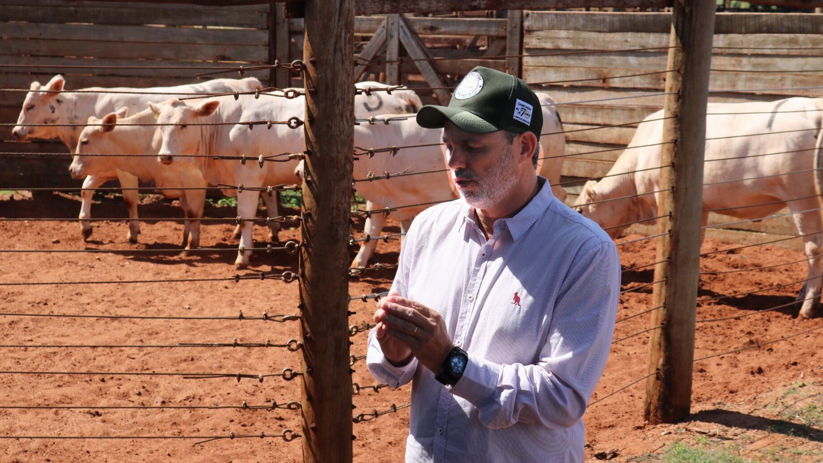 gestor de Expansão e Estratégia de Mercado de Corte da CRV Lagoa, Delmiro Rodrigues,