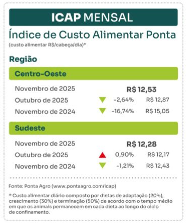 ICAP Novembro - PontaAgro