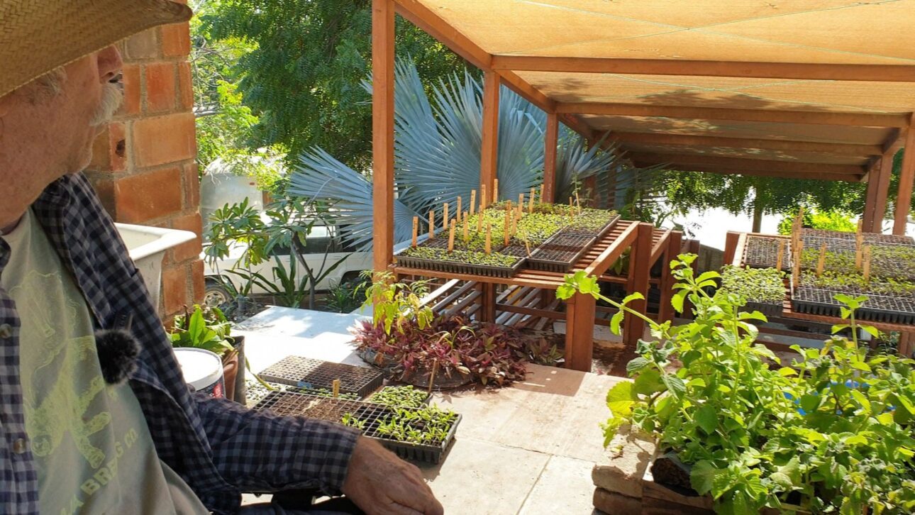 Produtor cadeirante desafiou o impossível e transformou um deserto em fazenda produtiva; conheça