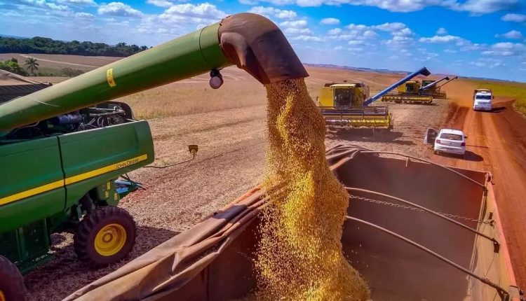 Agro sustenta economia em 2025, mas CNA alerta que cenário será desafiador em 2026