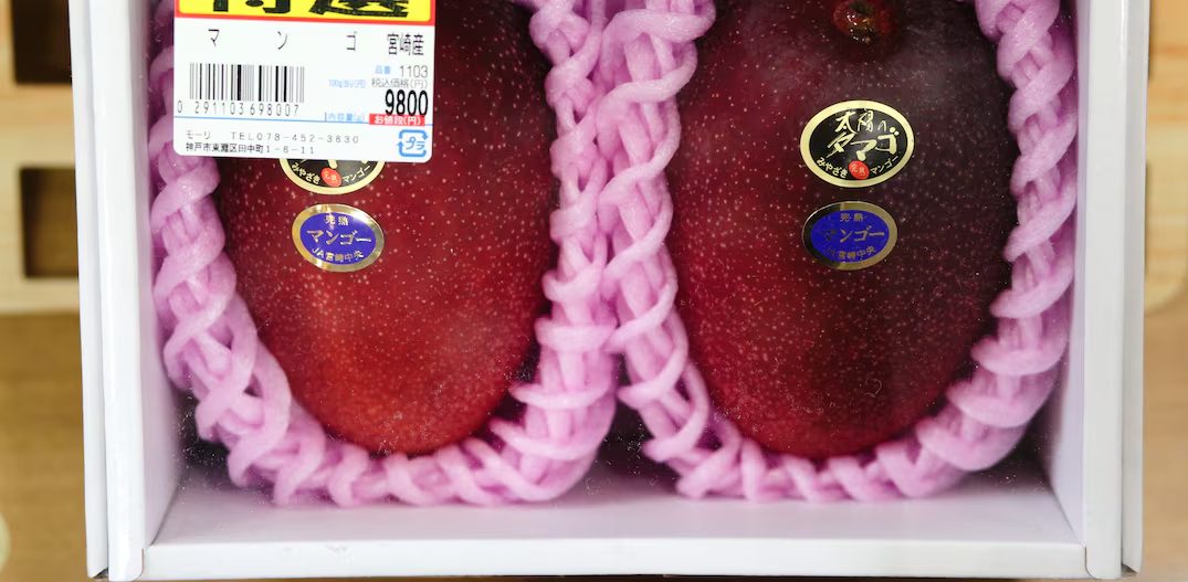 Mais caras que ouro? Conheça as frutas mais valiosas do mundo