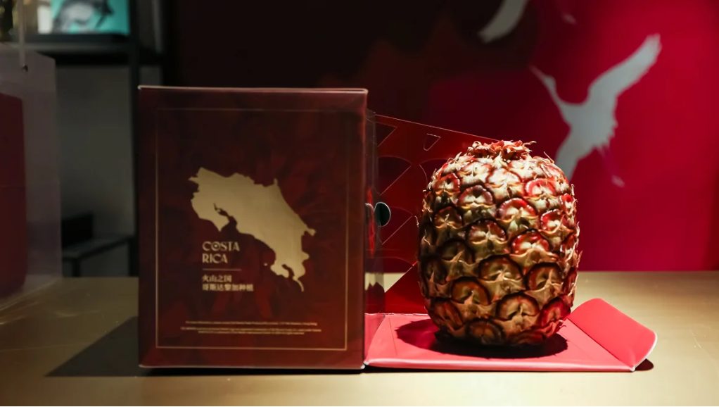 Mais caras que ouro? Conheça as frutas mais valiosas do mundo