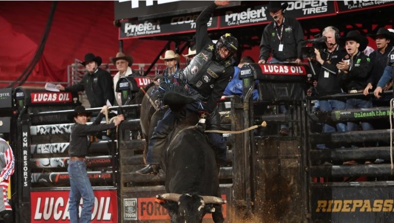 Maiores milionários da PBR: Brasileiros dominam o ranking e José Vitor Leme assume o topo histórico