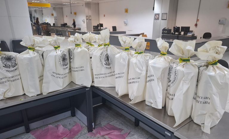 Vigiagro apreende 240 caranguejos em bagagem internacional