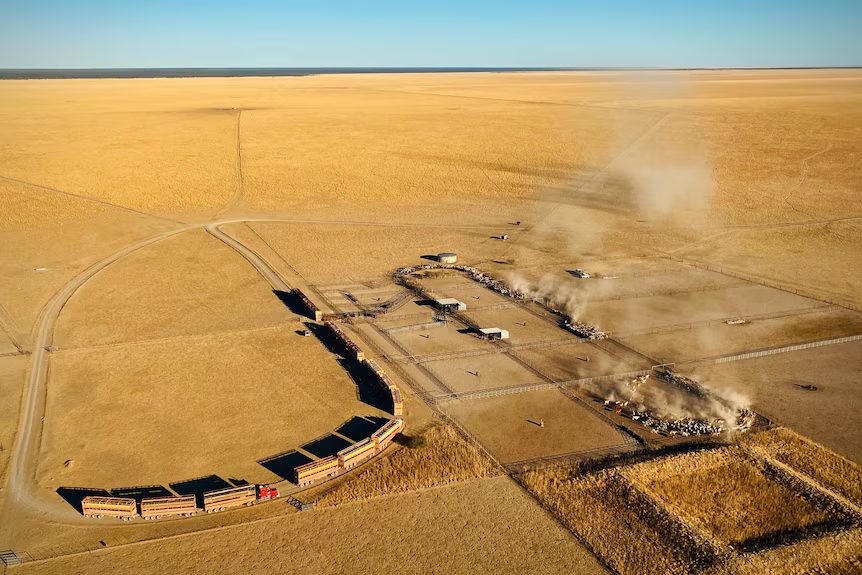 A área de exploração de Beetaloo abrange mais de 1 milhão de hectares nos planaltos de Barkly. (Fonte: Colliers )