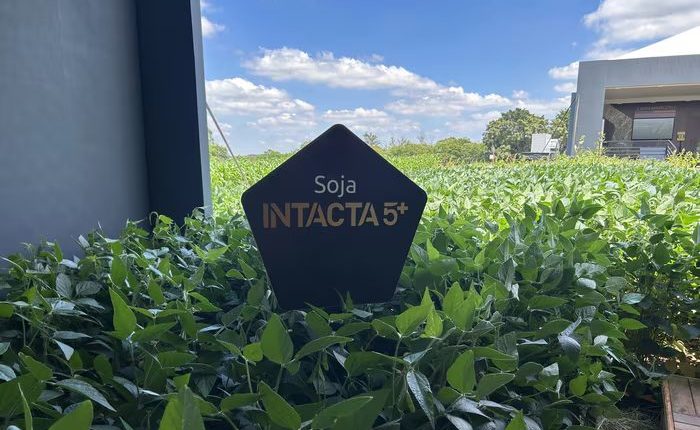 Bayer apresenta Intacta 5+: nova geração de biotecnologia para soja