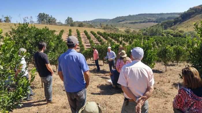 Circuito Frutificaminas encerra o ano com 1,5 mil participantes nos eventos da Emater-MG