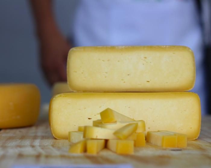 Mestrado vai capacitar técnicos da Emater-MG para atuação com queijos artesanais