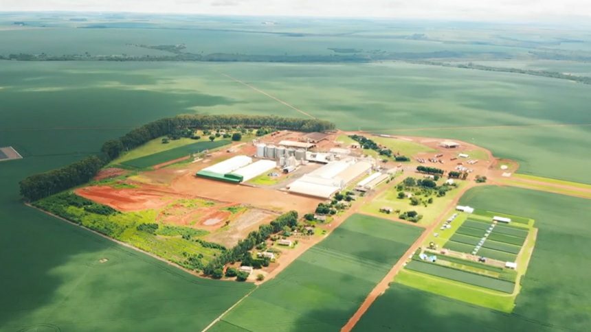 Sementes São Francisco, do Pátria, compra Auma Sementes e entra em MG