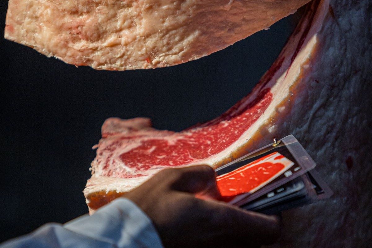 Pecuarista cria o próprio frigorífico e aposta em carnes premium