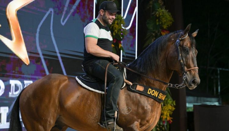 Don Shady Diego - rancho das estrelas