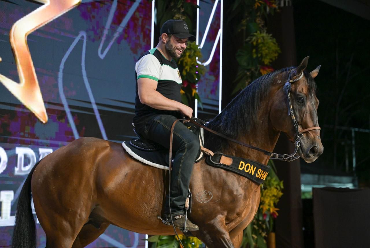 Don Shady Diego - rancho das estrelas