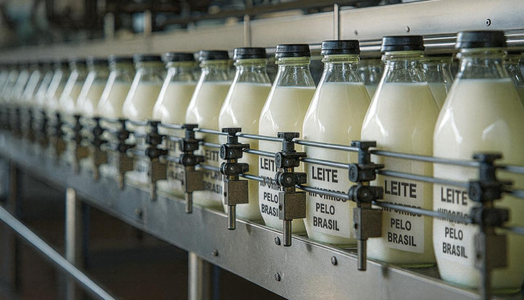 importação de leite comprerrual