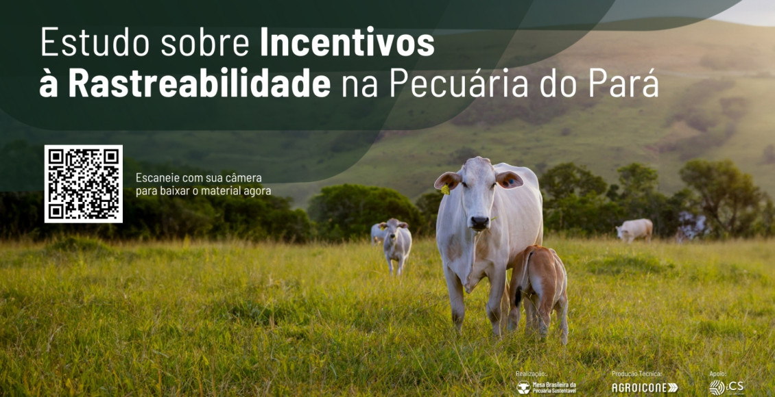 Rastreabilidade avança no Brasil e estudo indica caminhos para ampliar sua adoção de forma inclusiva